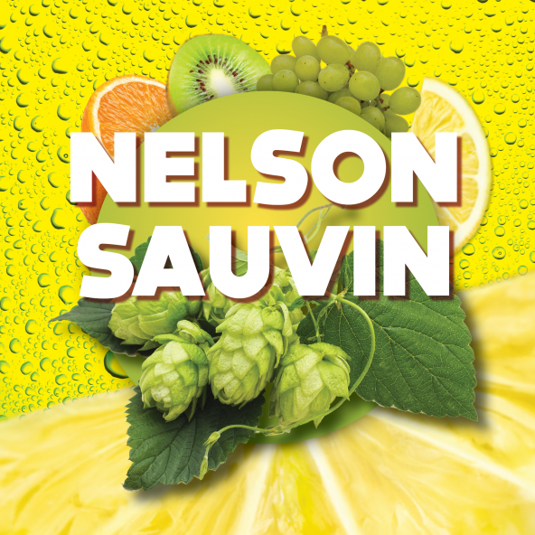 Hopkorrels Nelson Sauvin 100 g Hopkorrels Nelson Sauvin 100 g