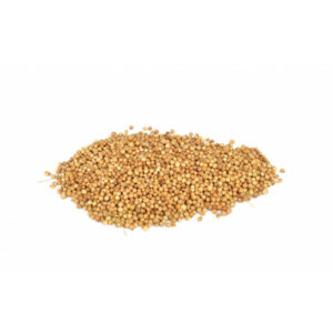 Koriandervrucht 100 g
