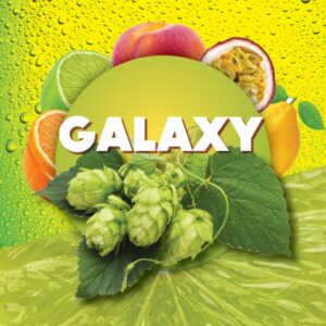 Hopkorrels Galaxy 2022 - 5 kg
